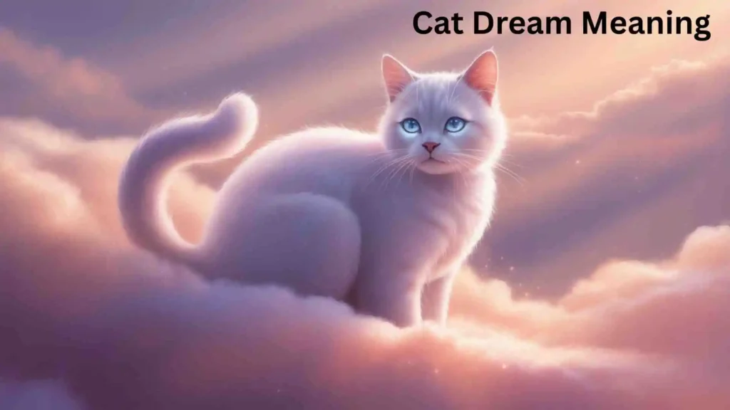 Meaning Behind the Dreaming