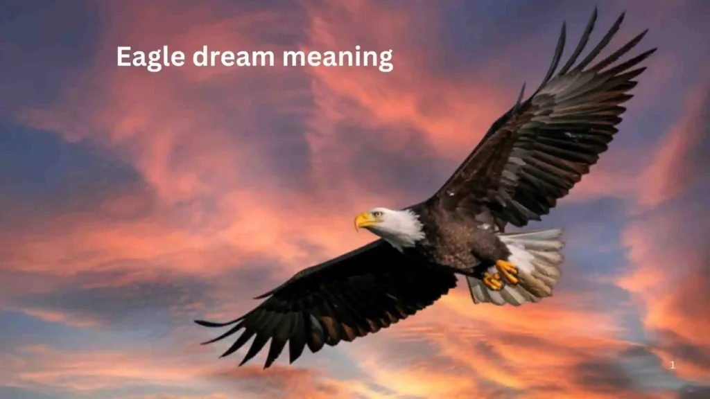 Eagle Dream Meaning Biblical