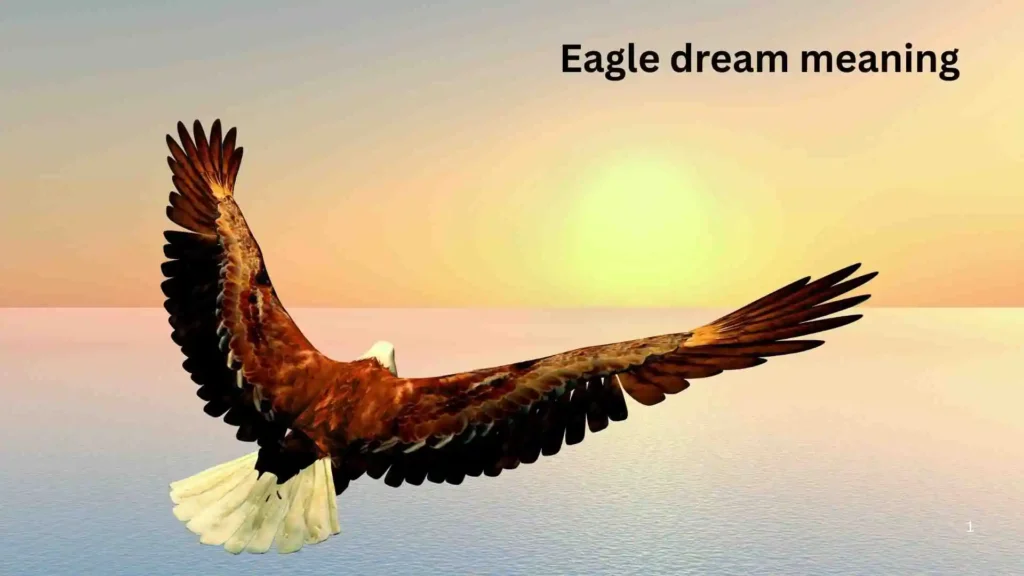 Brown Eagle Dream Meaning