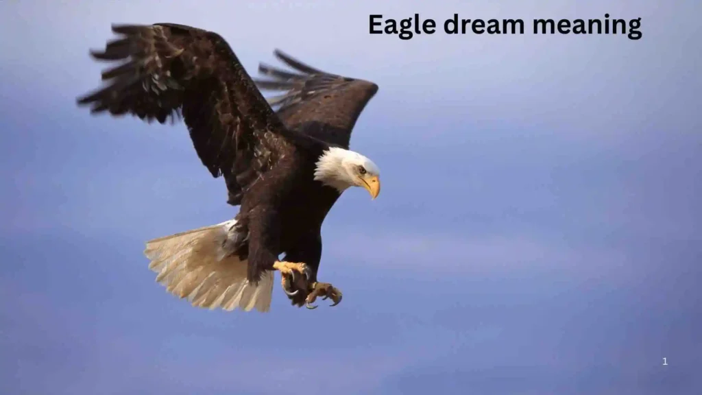 What Do Dreams Reveal About Your Inner Strength?