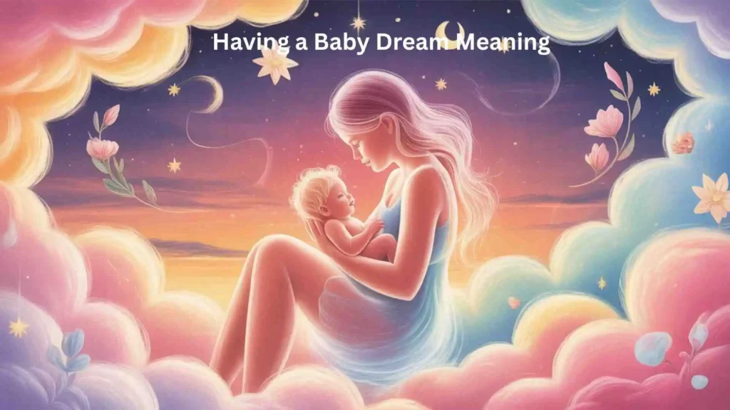 Related Queries People Search About