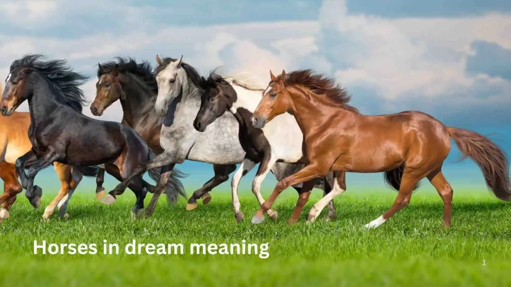 🌈 Types of Dreams