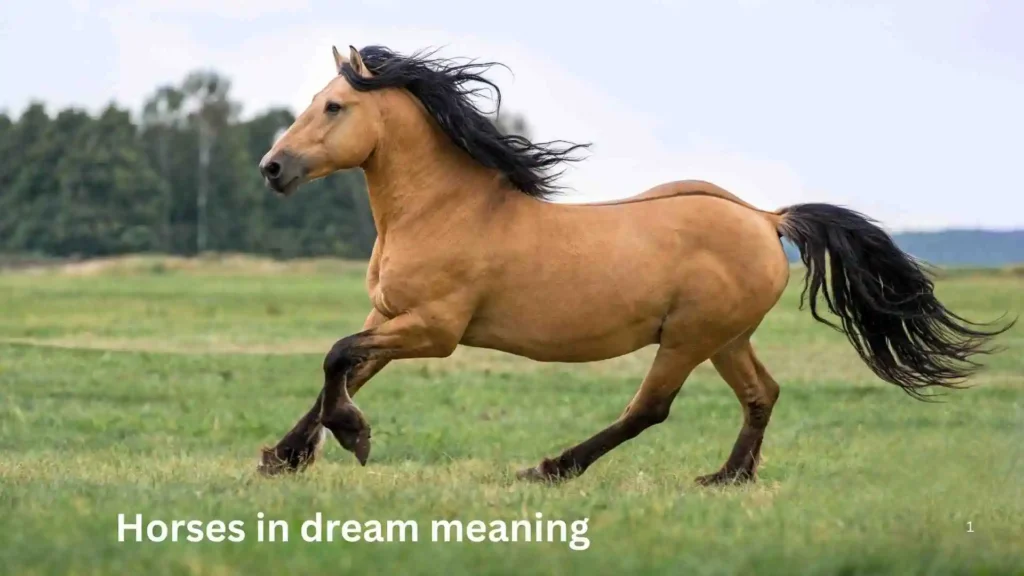 What Do Dreams Say About Your Emotions?