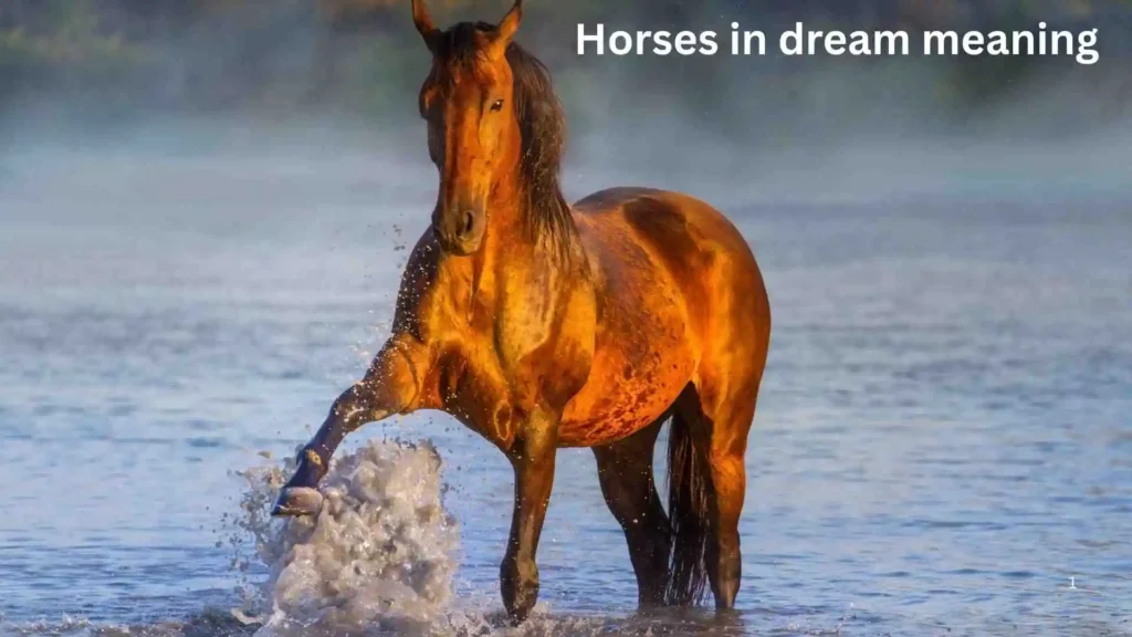 🏃 Being Chased by a Horse in Dream Meaning