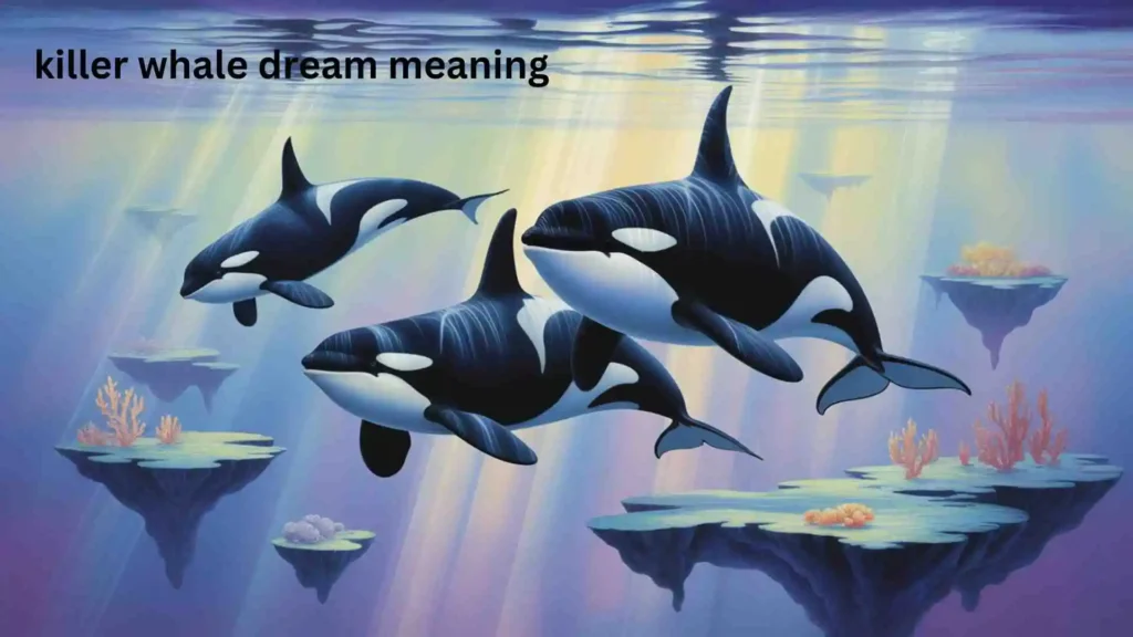 Common Questions About Killer Whale Dreams