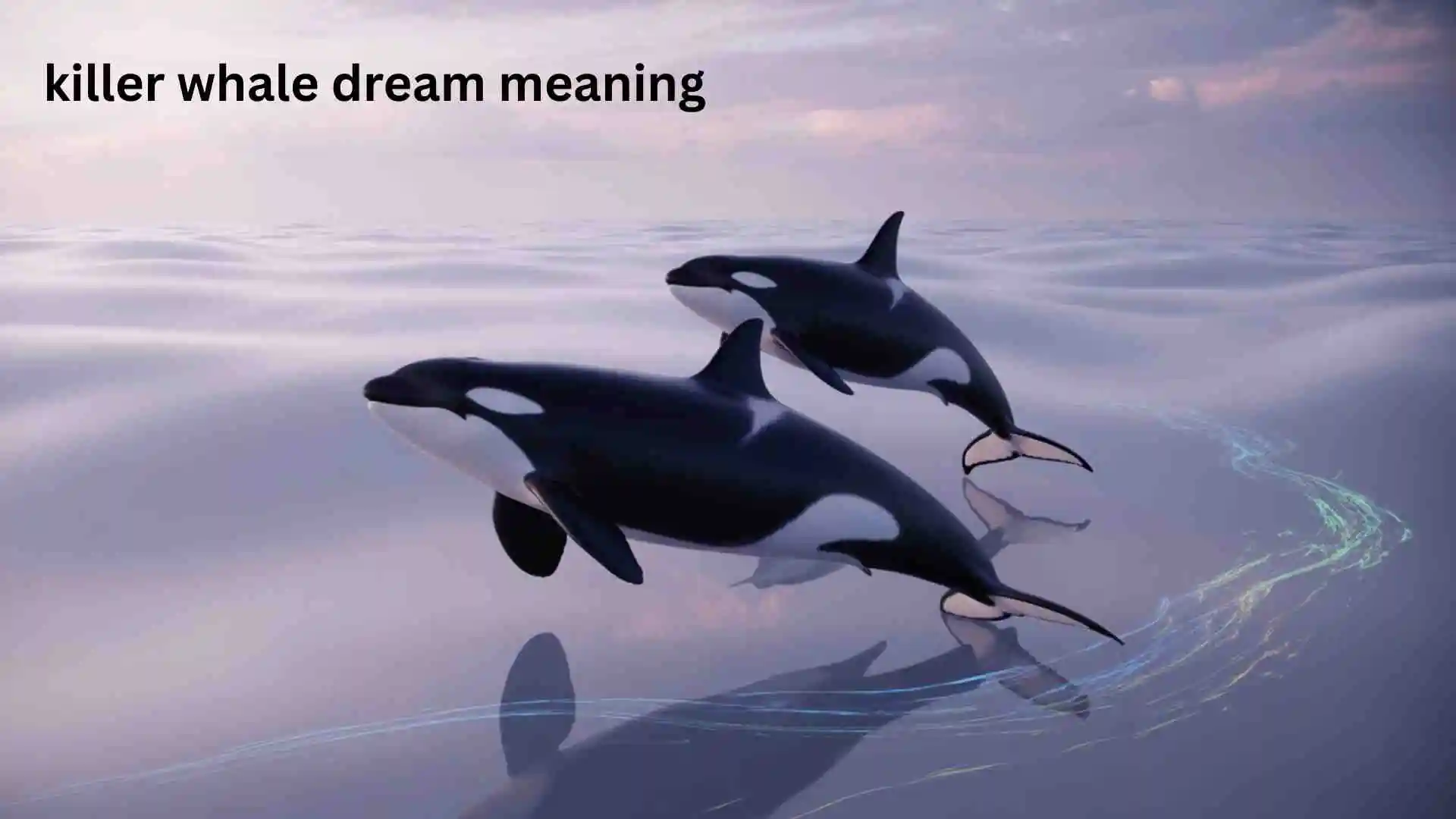 Killer Whale Dream Meaning Spiritual Guidance You Shouldn’t Ignore for 2026