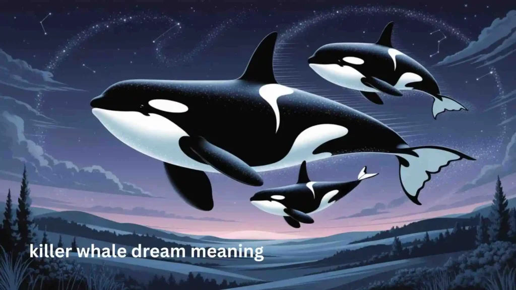 Meaning Behind the Dreaming