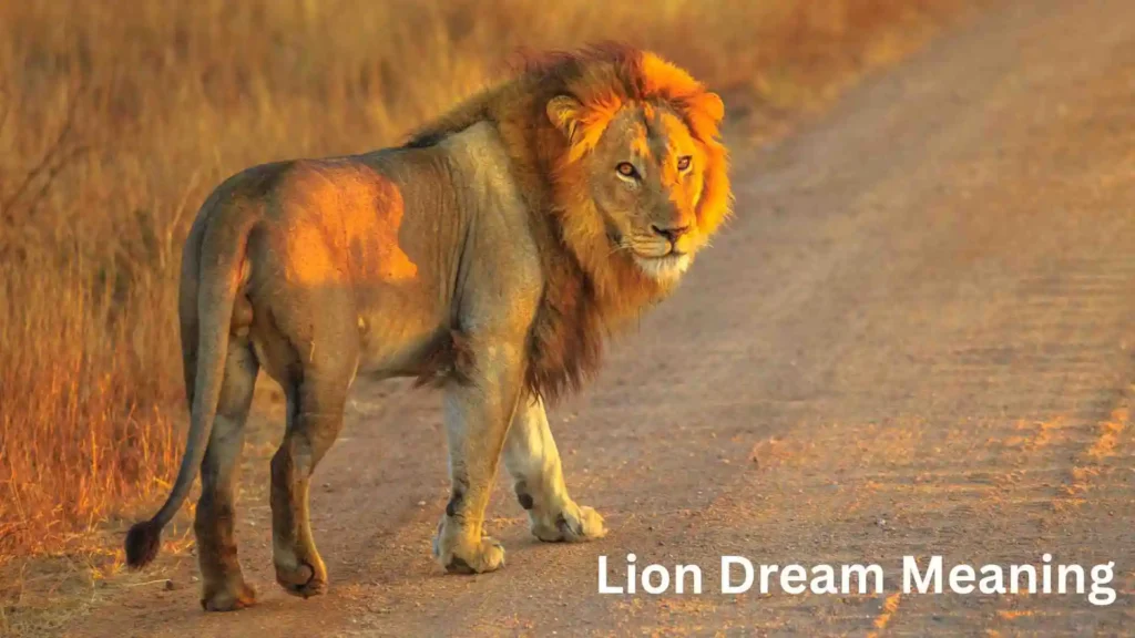Spiritual Meaning of Lion Dreams