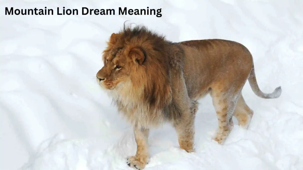 Spiritual Meaning of Mountain Lion Dreams