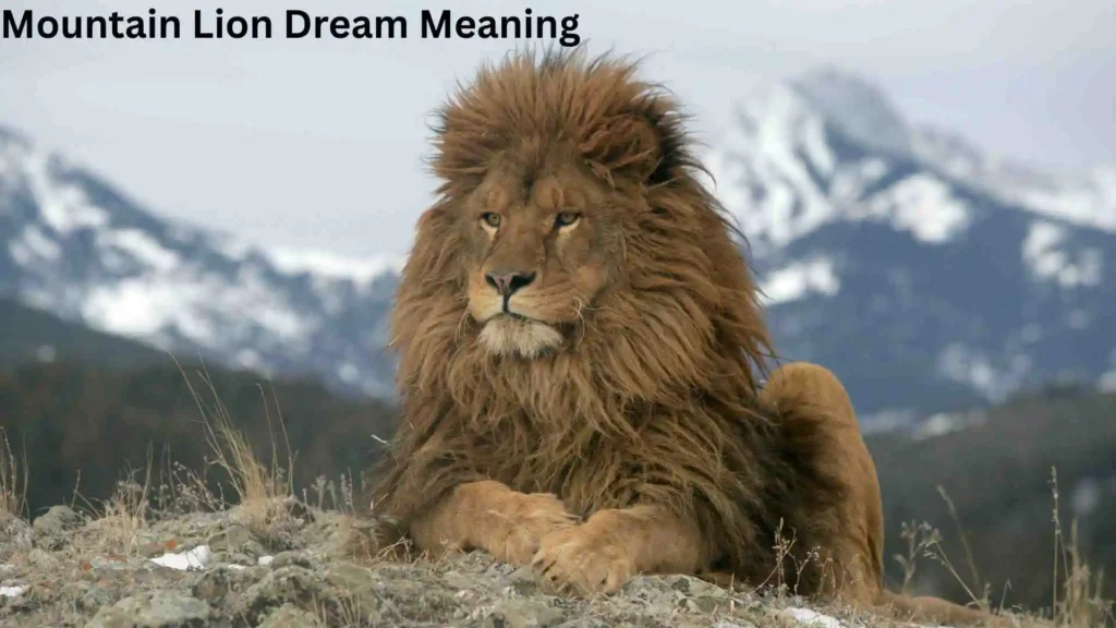 Meaning Behind the Dreaming