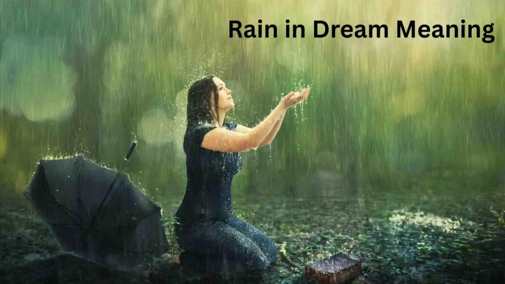 Meaning Behind the Dreaming