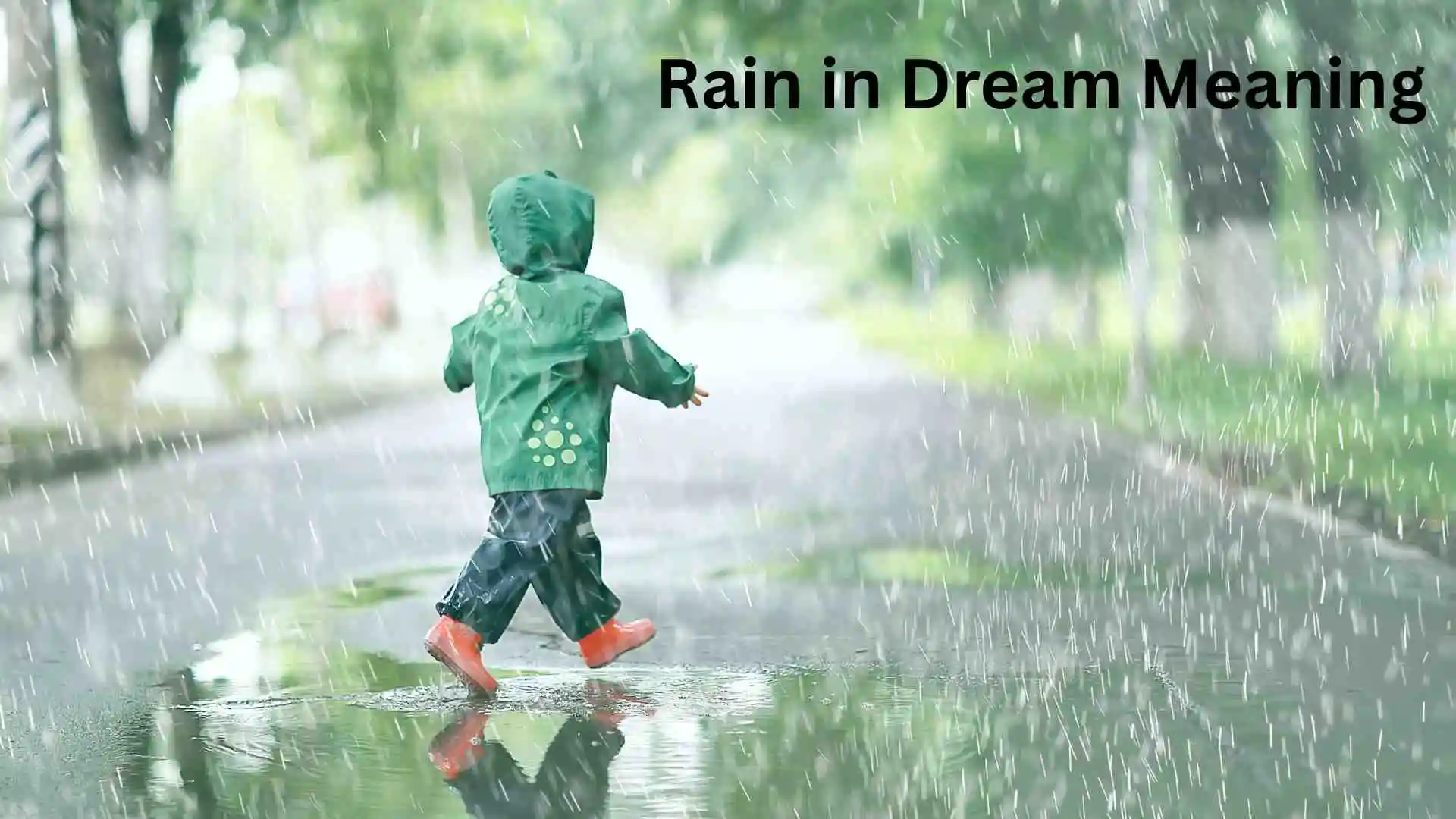 Rain in Dream Meaning | When Life Sends Emotional Showers for 2026