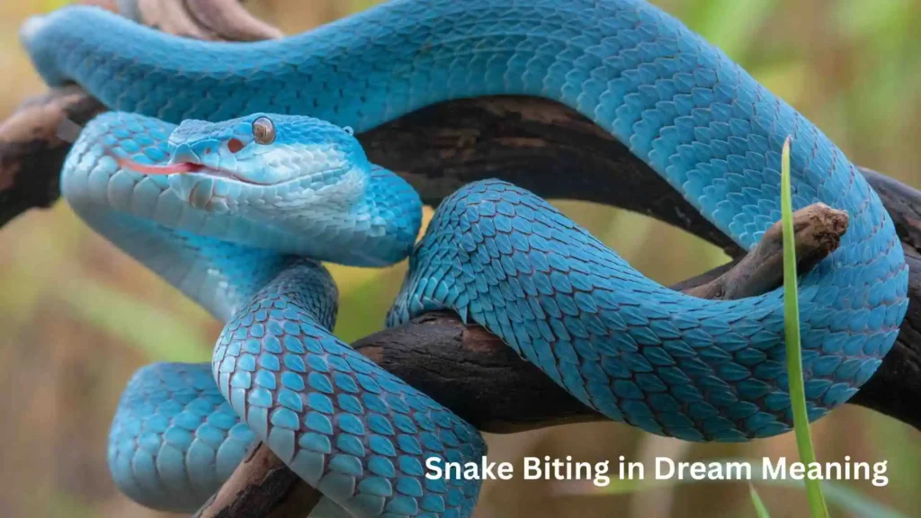 Related Dream Meanings People Often Search