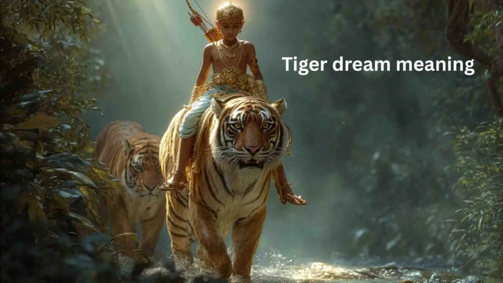 Meaning Behind the Dreaming