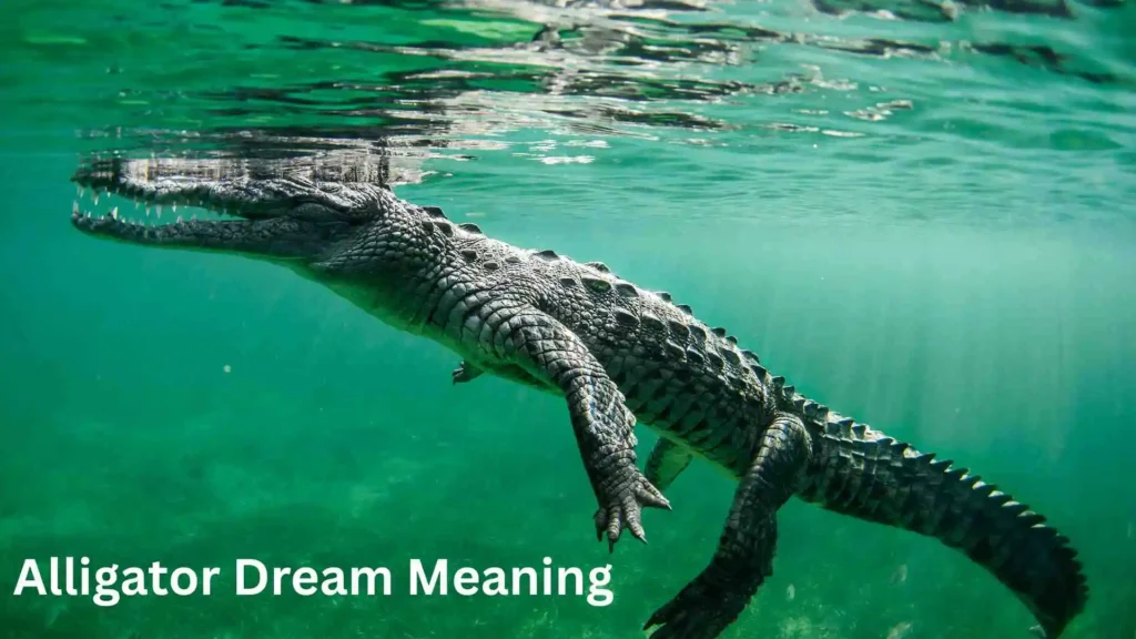 What Does It Mean to Dream About an Alligator Attacking You?