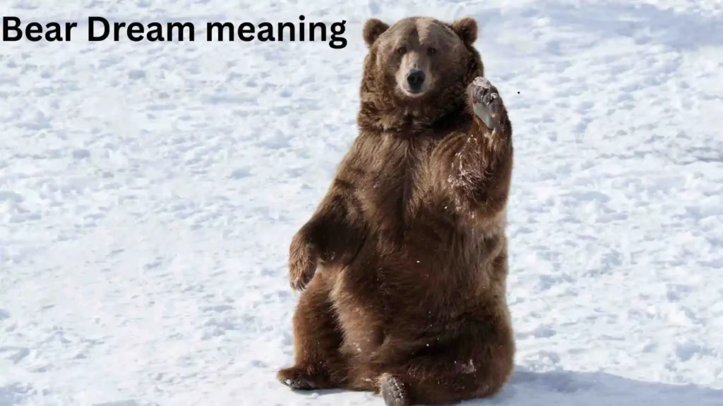 What Does It Mean to Dream About a Bear Attacking You?