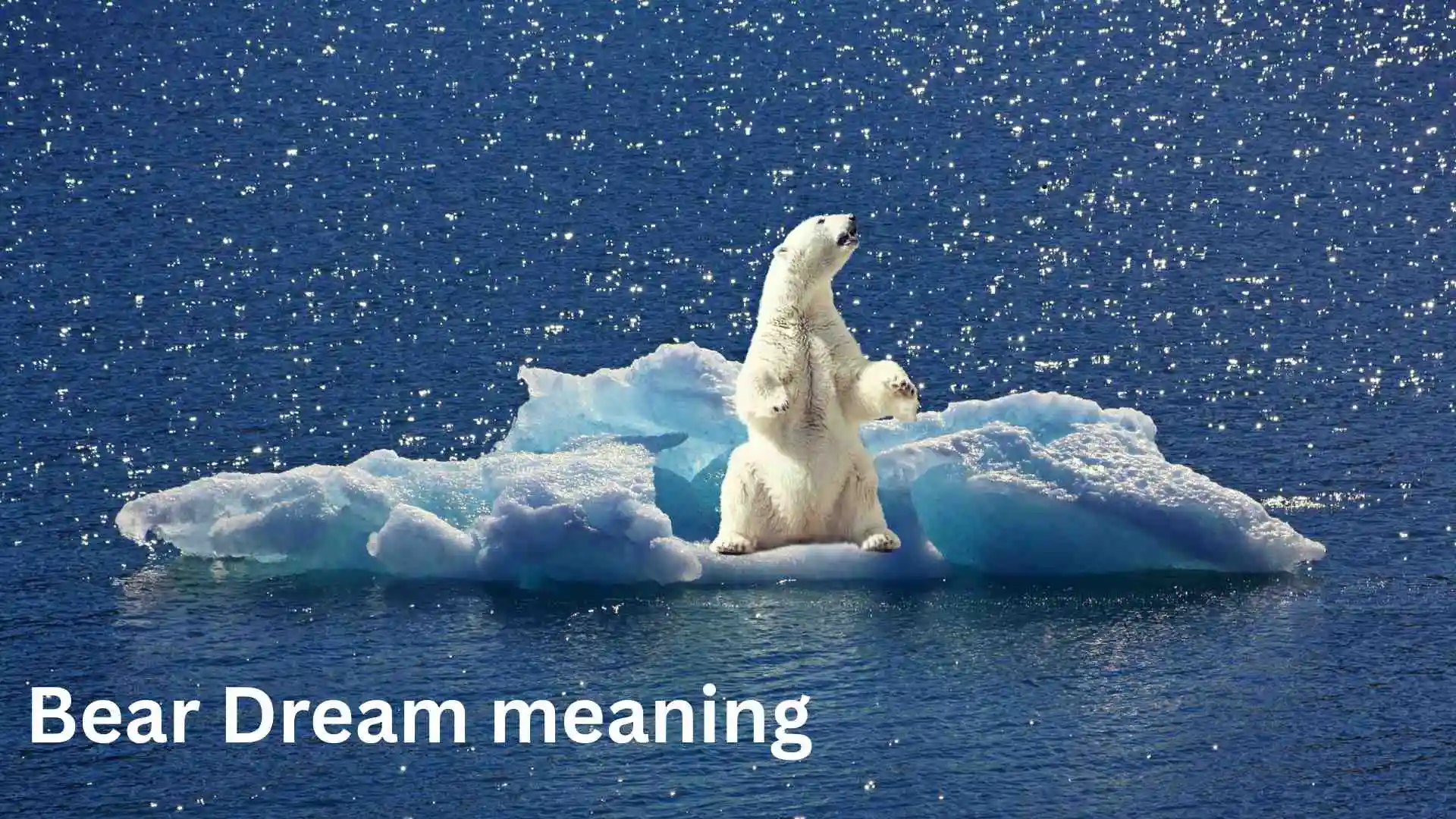 Bear Dream Meaning Strength Fear or a Powerful Wake-Up Call for 2026