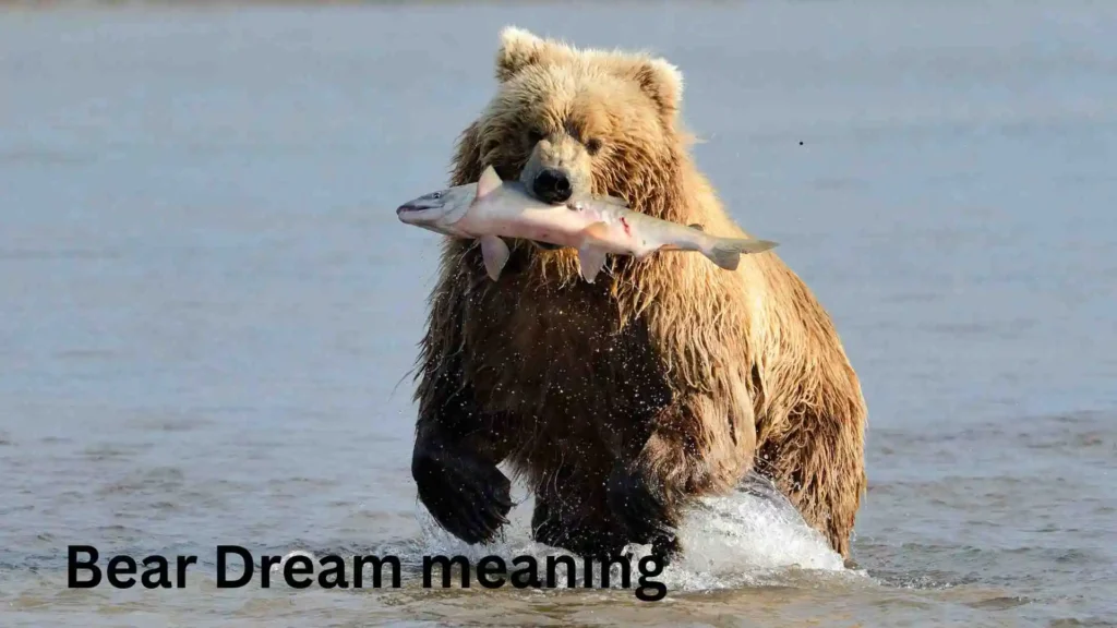 Meaning Behind the Dreaming