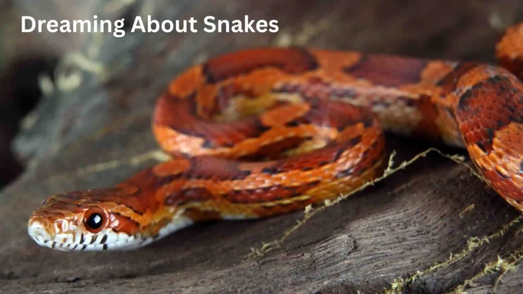 Seeing Snake in Dream: Is It Good or Bad?