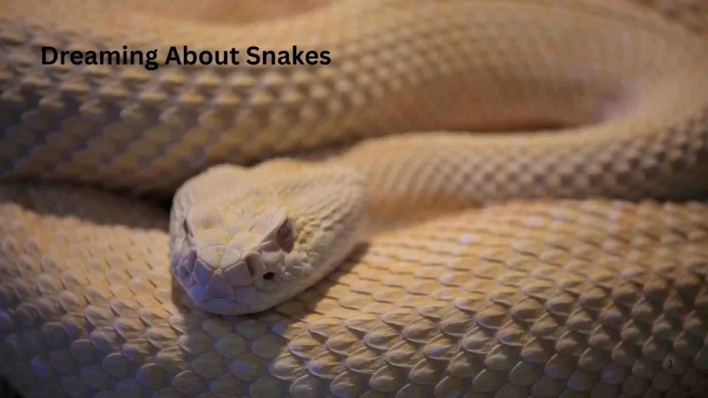 Meaning Behind the Dreaming