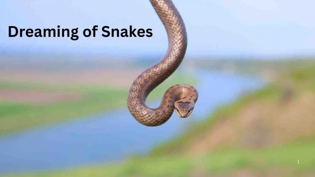 What Does a Black Snake in a Dream Mean?