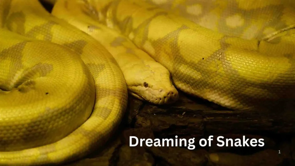 What Is the Biblical Meaning of Snakes in a Dream