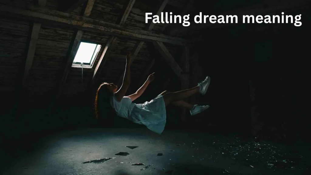 Meaning Behind the Dreaming