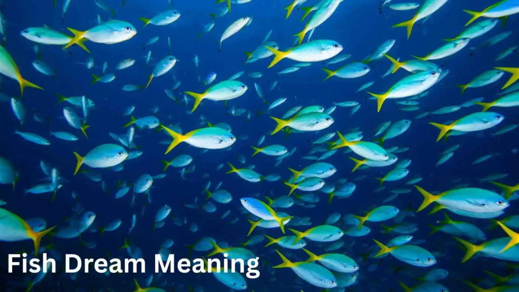 What Does It Mean to Dream About Fish in Water?