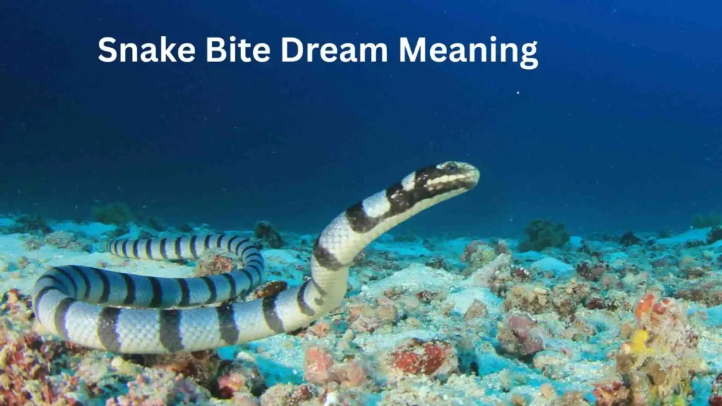 Meaning Behind the Dreaming