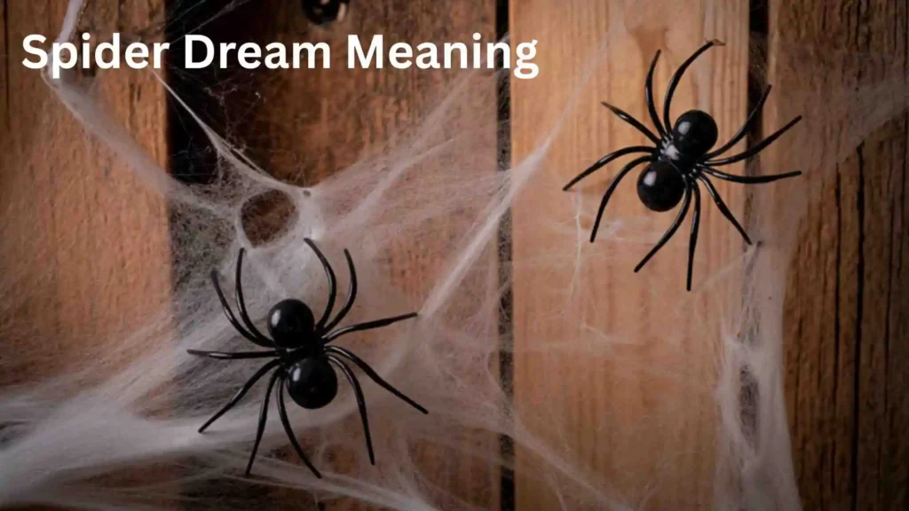 Meaning Behind the Dreaming