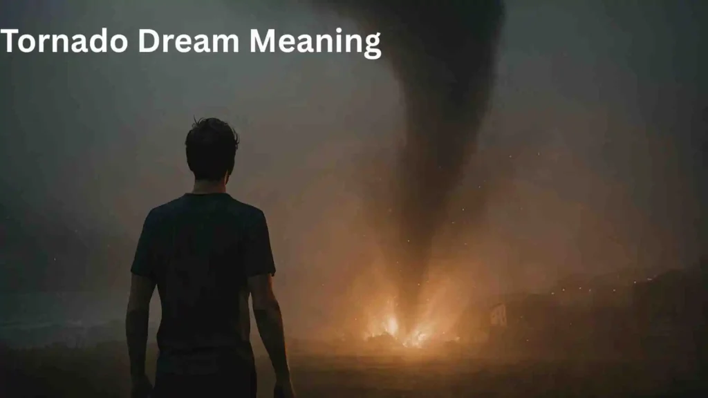 Meaning Behind the Dreaming
