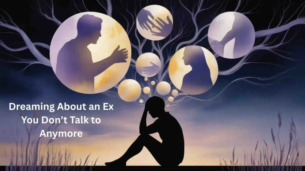 Meaning Behind the Dreaming