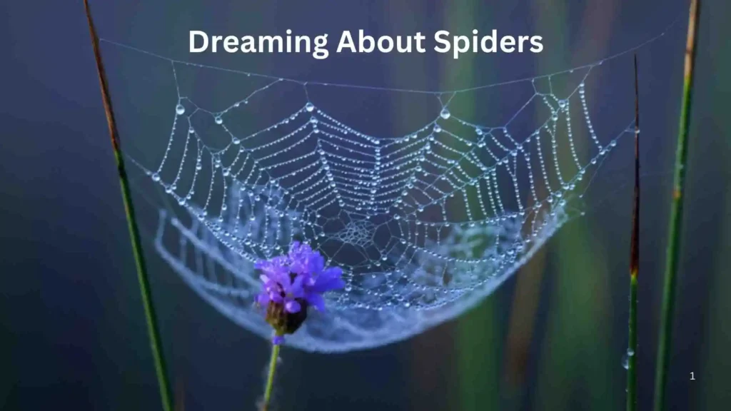 What Does Dreaming About Spiders Mean Spiritually?