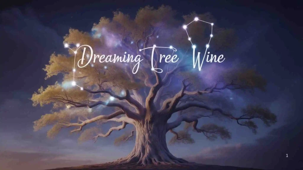 Why Do Dreams Feel So Real?