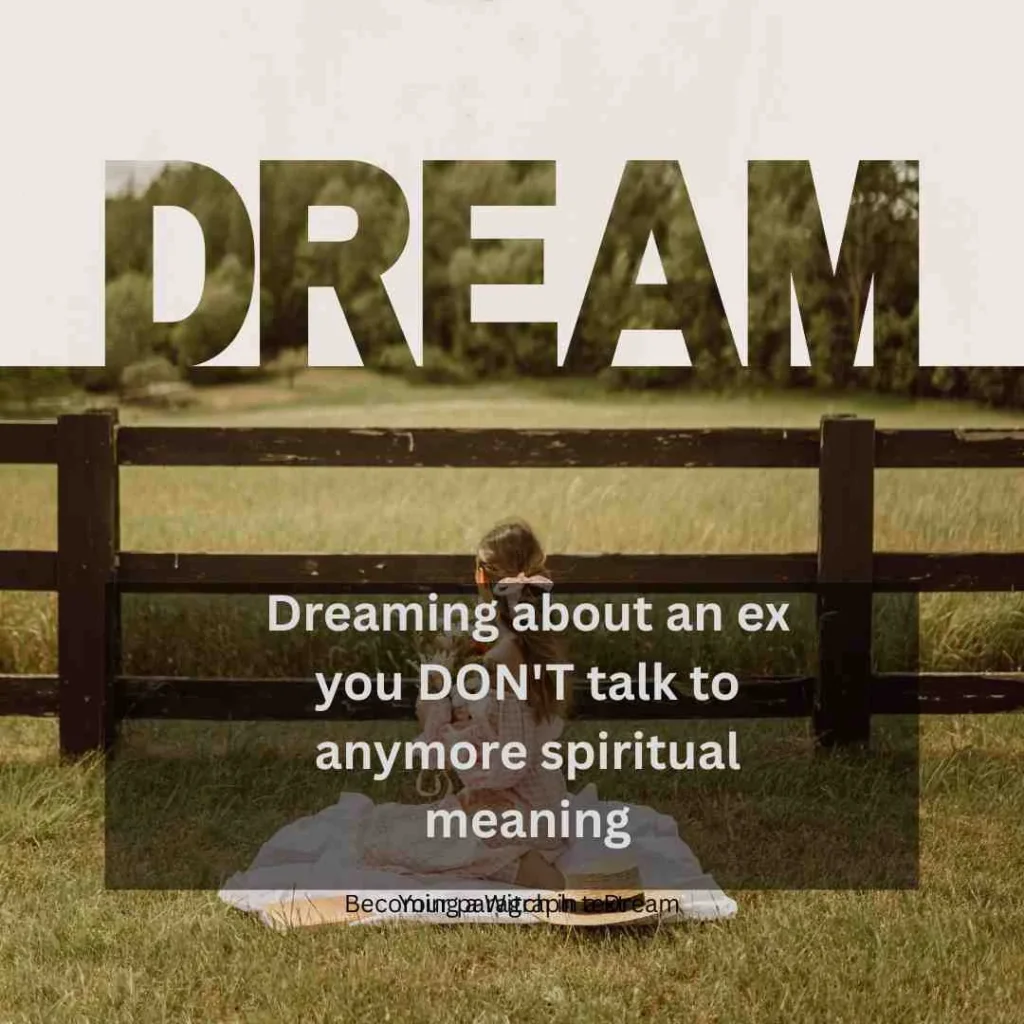 Dreaming about an ex you DON'T talk to anymore spiritual meaning
