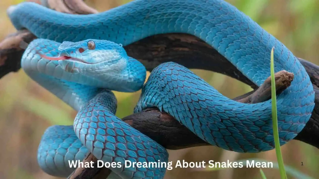 What Does Dreaming About Snakes in Your House Mean?