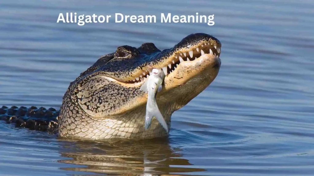 Meaning Behind the Dream