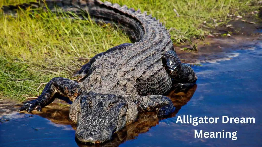 What Your Dream Might Mean Psychologically