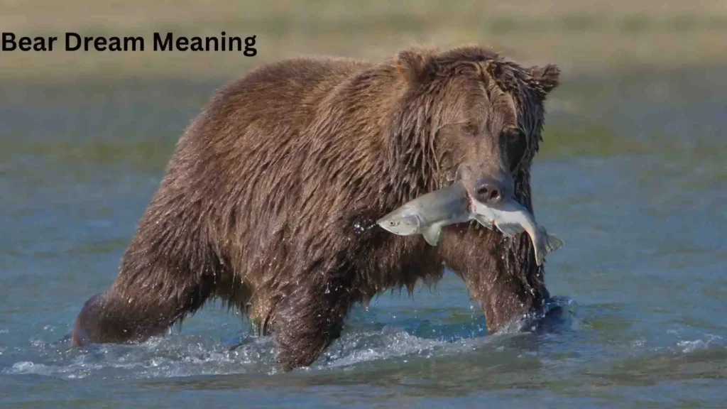 Why Do We Dream This?