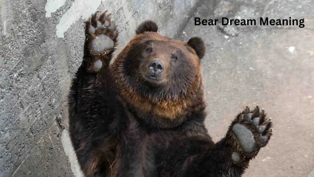 Related Dream Interpretations