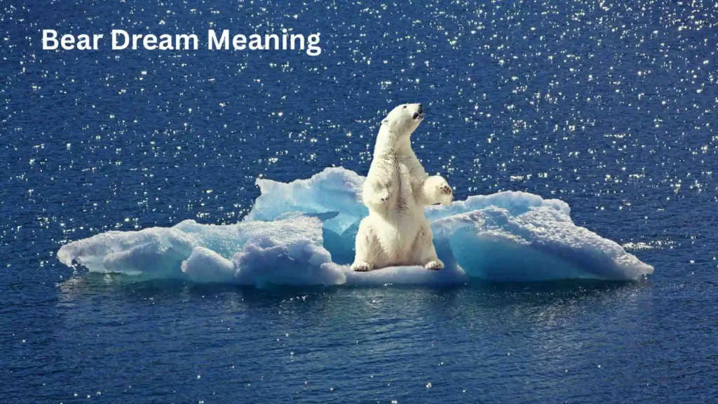 What Does It Mean to Fight a Bear in a Dream?