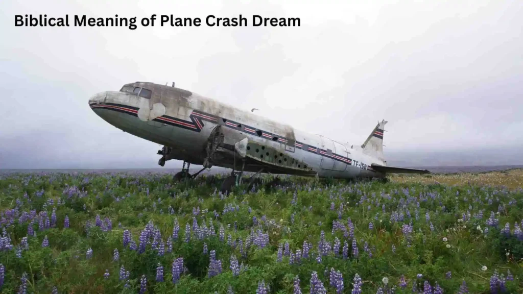 Dream About Surviving a Crash Spiritual Meaning