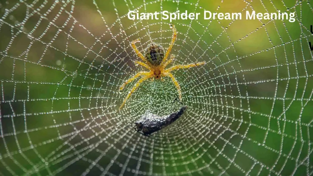 What Does It Mean to Dream About a Giant Spider Attacking You?