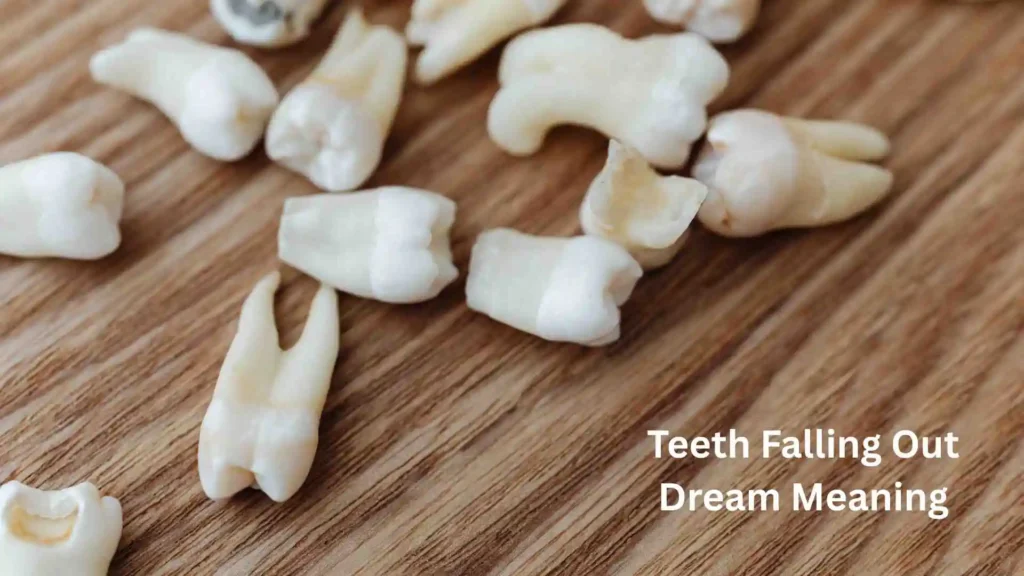 Meaning Behind the Dream