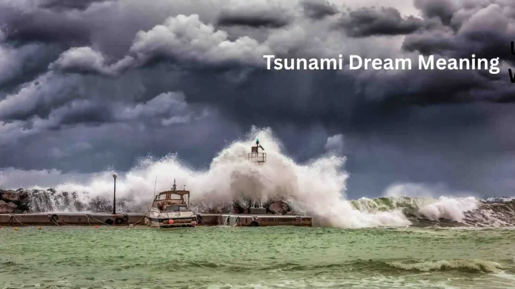 Seeing Tsunami in Ocean Dream Meaning