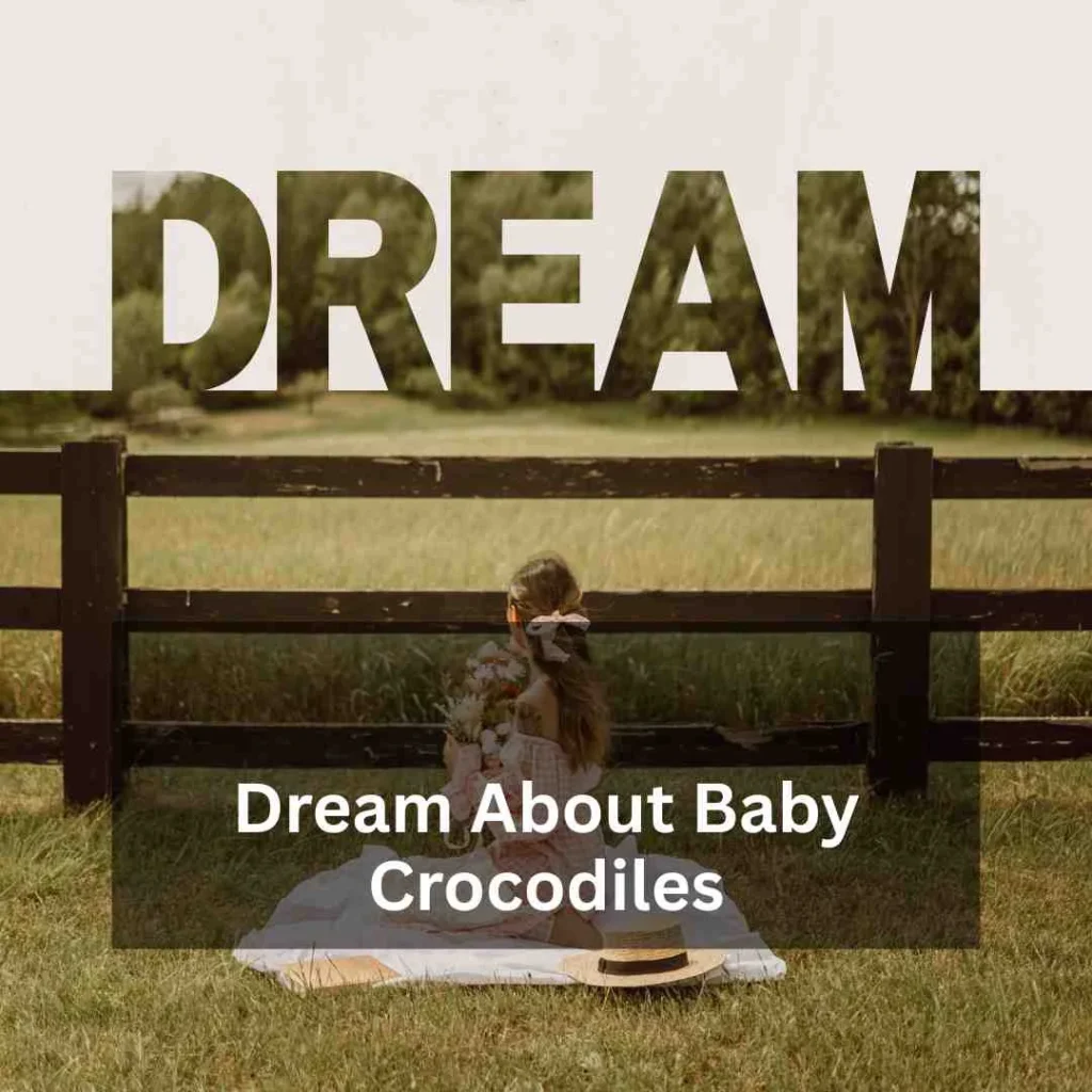 Dream About Baby Crocodiles