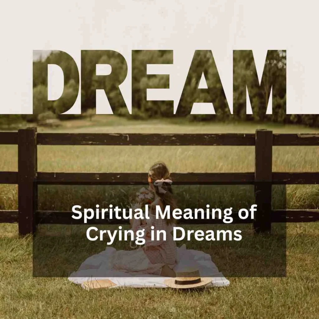 Spiritual Meaning of Crying in Dreams