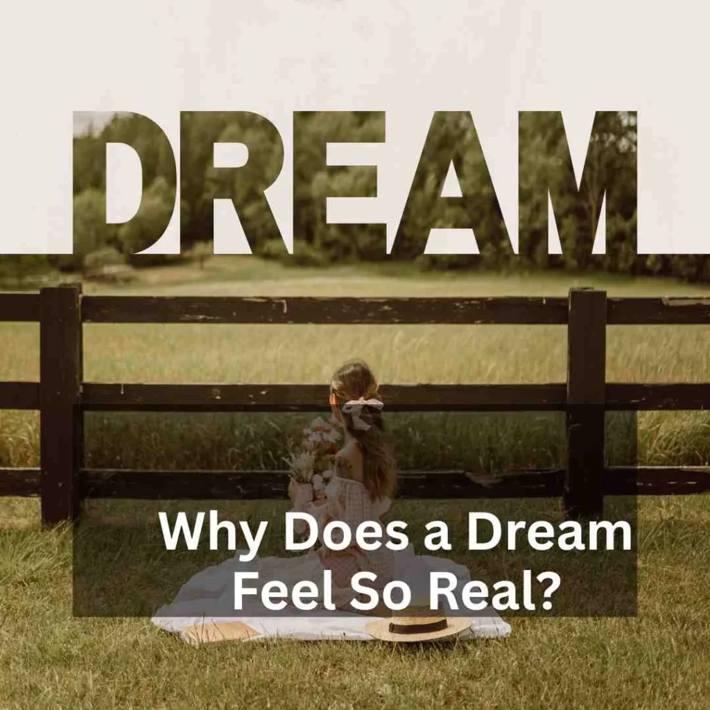 Why Does a Dream Feel So Real?