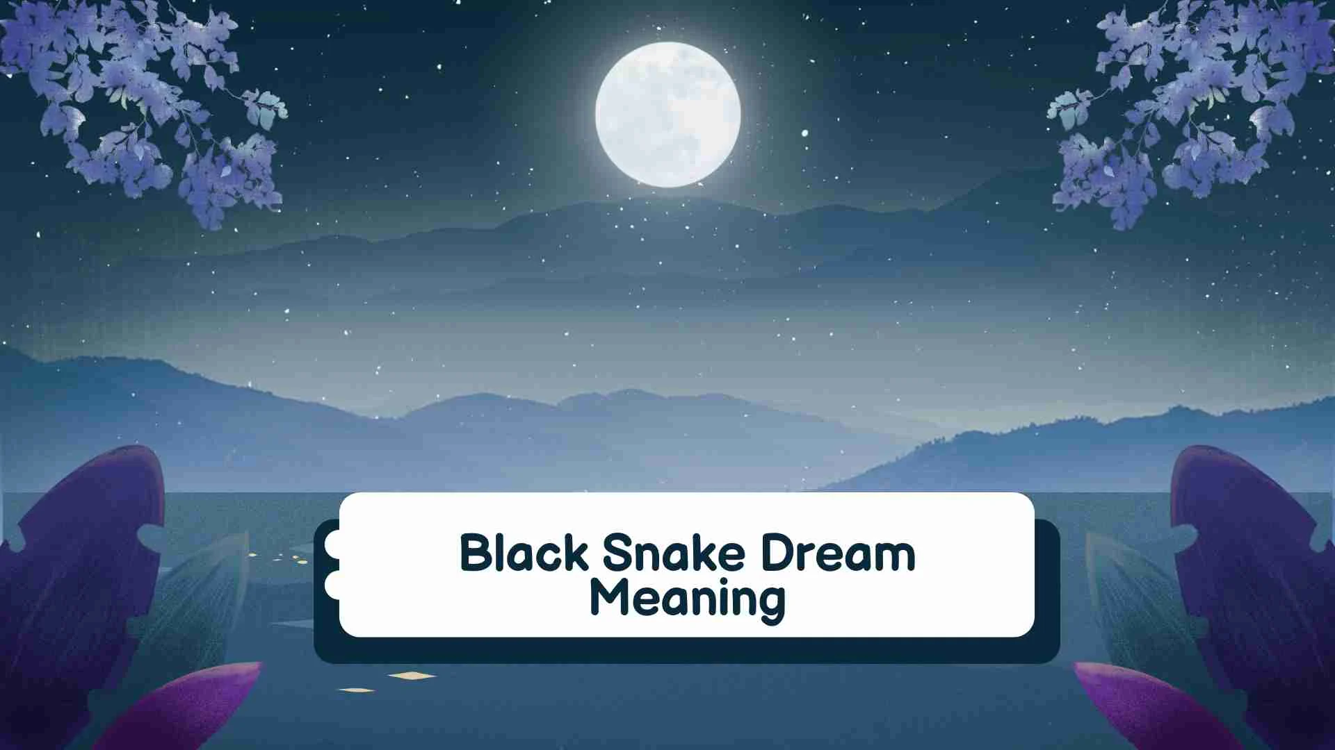 Black Snake Dream Meaning