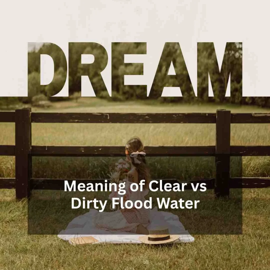 Meaning of Clear vs Dirty Flood Water